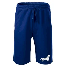 Jezevčík - Dachshund