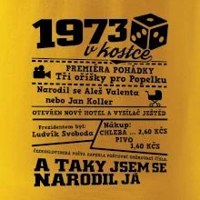 1973 v kostce