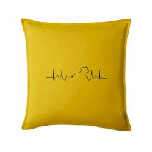 Stafordšírsky bulteriér EKG