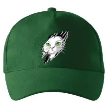 Kočka v roztrženém triku