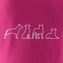 Americký stafordširský teriér v různých pozicích