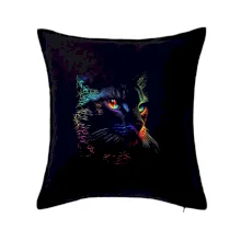 Duhová kočka ve tmě