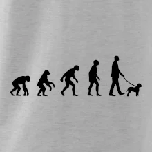 Lagotto romagnolo Evoluce