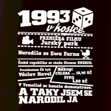 1993 v kostce