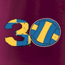Volejbal kulaté narozeniny 30
