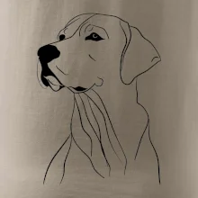 Labrador černá kresba