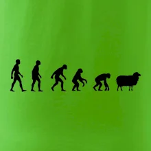 Evoluce ovce