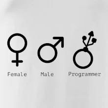 Female male programmer