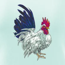 Kohout kreslený bílý