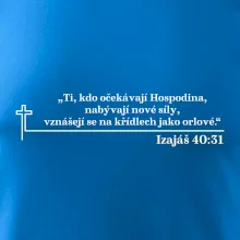 Citáty z bible - Izajáš 40:31