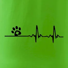 Veterinář EKG