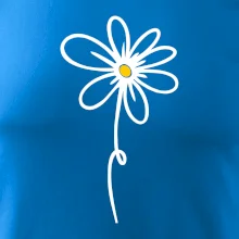 Kopretina - dole na výšku