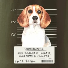 Lump a darebák bígl