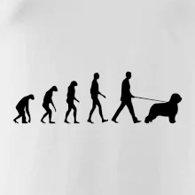 Evoluce pes Briard Evoluce pes Briard