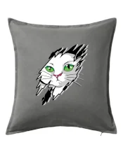 Kočka v roztrženém triku