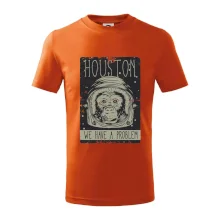 Houston we have a problem