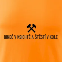 BINEĆ V KSICHTĚ A ŠTĚSTÍ V KOLE﻿