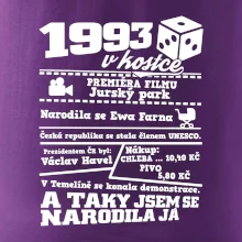 1993 v kostce