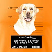Lump a darebák labrador