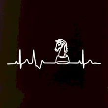 EKG Šachové figurky - Jezdec