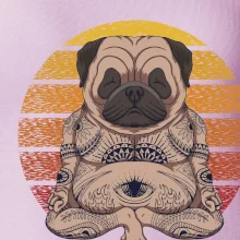 Yoga meditace - pug