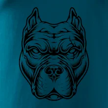 Americký stafordširský teriér hlava