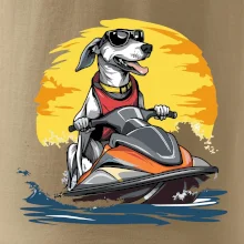 Chrt na vodním skútru