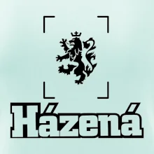 Národní házená lev