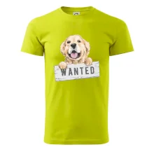 Zlatý retriever - štěně wanted