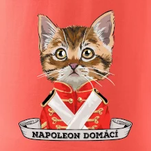 Napoleon domácí kočka