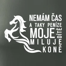 Nemám čas a taky peníze - Kůň