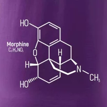 Molekulární struktura Morfin