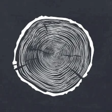 Letokruhy 75 bez věku