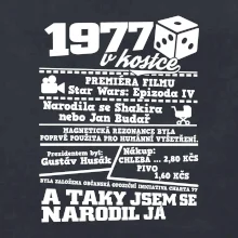 1977 v kostce