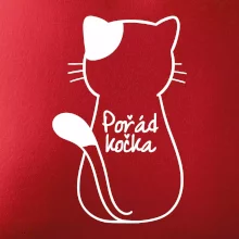Pořád kočka