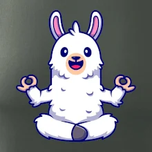 Yoga meditace - lama