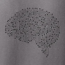 Tištěný spoj mozek