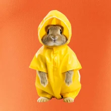 Králík v pláštěnce