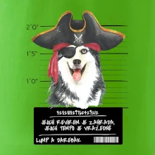 Lump a darebák husky