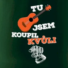 Tu kytaru jsem koupil kvůli tobě