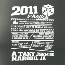 2011 v kostce
