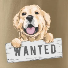 Zlatý retriever - štěně wanted