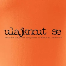 Čeština 2.0 - ulajknout se