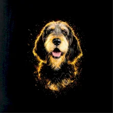 Obrázek polotón Griffon Nivernais