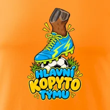 Hlavní kopyto týmu