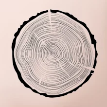 Letokruhy 50 bez věku