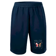 Tancující Santa a sob