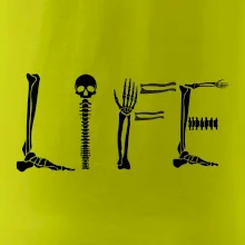 Radiology Life Radiology Life