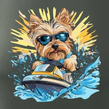 Yorkšírský teriér na vodním skútru