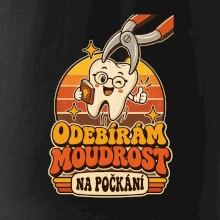 Odebírám moudrost na počkání